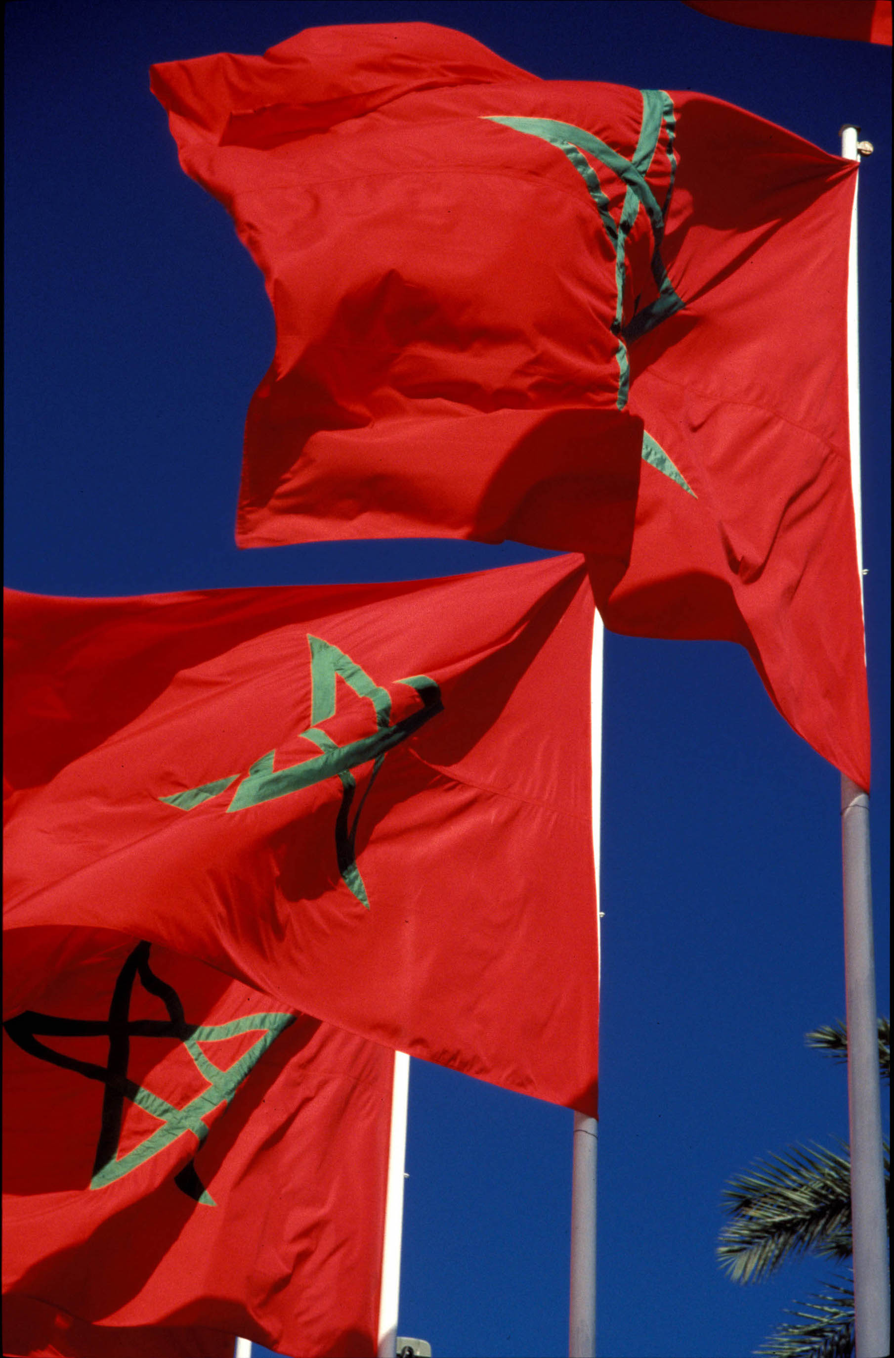 Morocco Marrakech flags